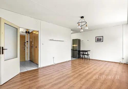 Interiér bytu 1+kk, Řepy